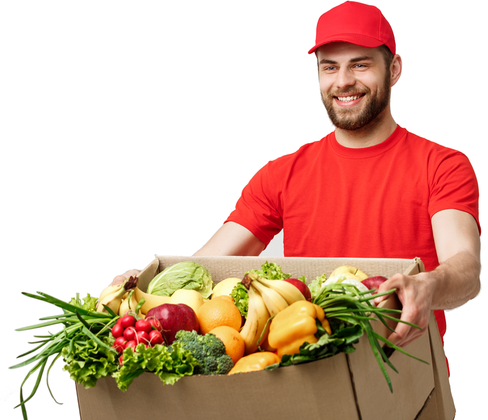 online grocery delivery business plan india