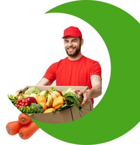 grocery delivery startup
